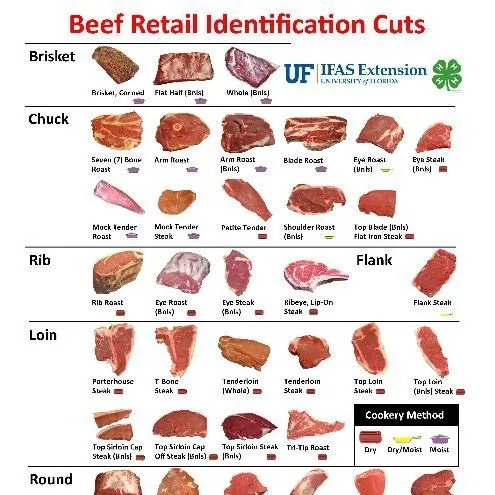 thumbnail for publication: Beef Retail Identification Cuts